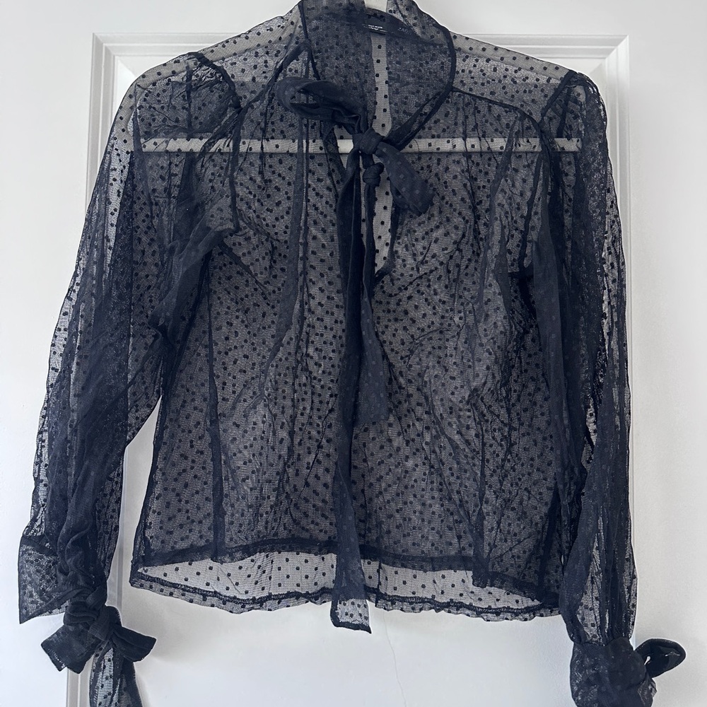 Zara Black sheer polka dot blouse